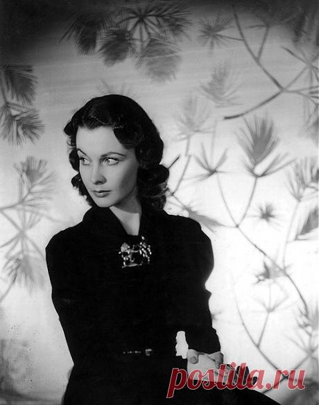 My Love Leigh Vivien