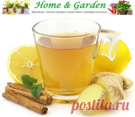 3 рецепта имбирного чая