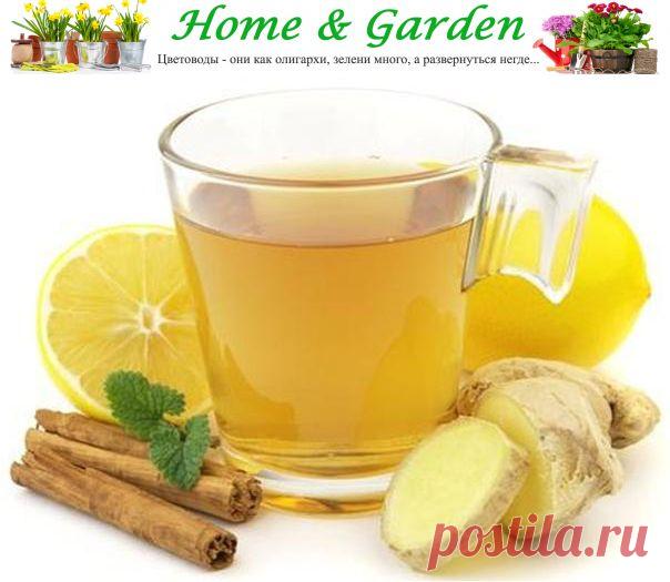 3 рецепта имбирного чая