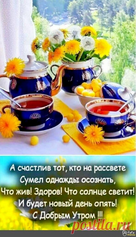 Выпуск №4126 - выпуск анекдотов сайта вокруг смеха