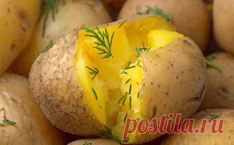 Увидели, как на Кубани отваривают картофель в мундире, с чесноком и укропом: чистится за секунды • Сияние Жизни