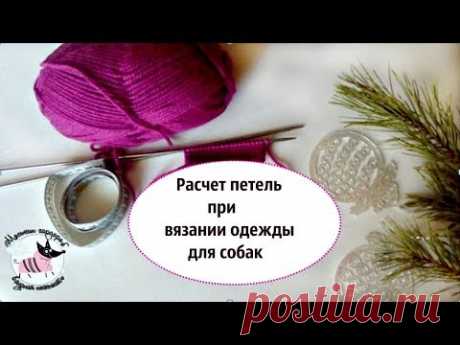 Расчет петель при вязании одежды для собак. Уроки вязания на канале "моськин гардероб"
