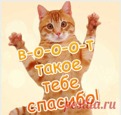 похвала прикольные стишки картинки для детей: 6 тыс изображений найдено в Яндекс.Картинках