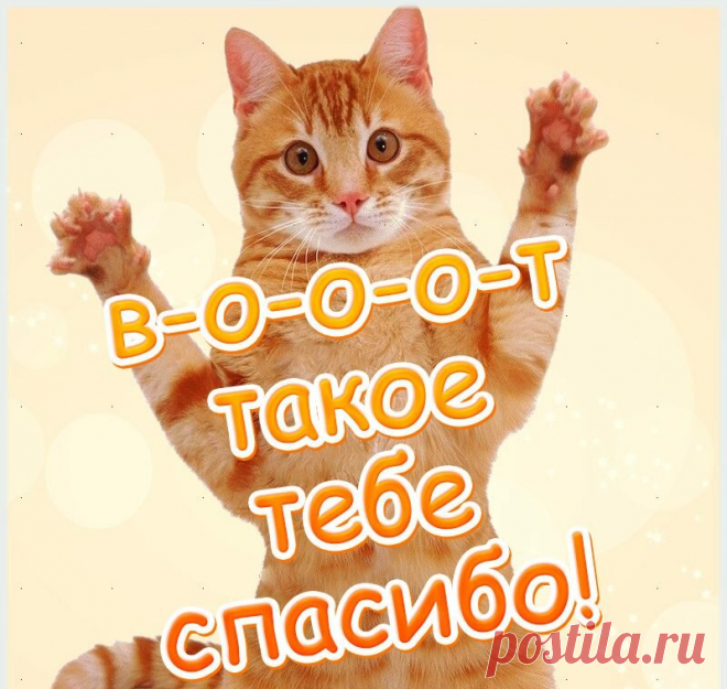 похвала прикольные стишки картинки для детей: 6 тыс изображений найдено в Яндекс.Картинках