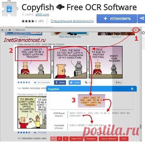 Copyfish для Chrome как перевод текста с картинки онлайн