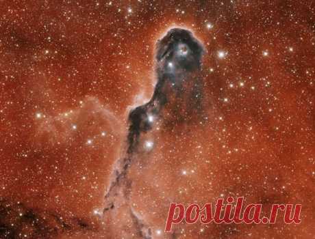 Необычная глобула в IC 1396  / Интересный космос