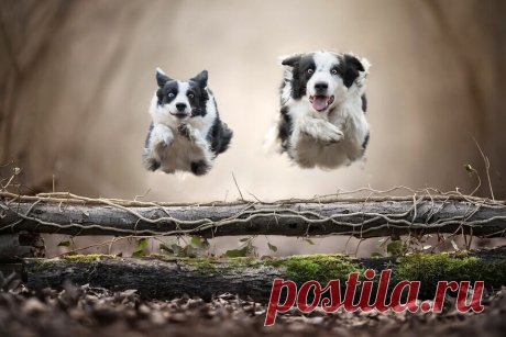 25+ невероятных фотографий, получивших международное признание | PhotoWebExpo | Яндекс Дзен