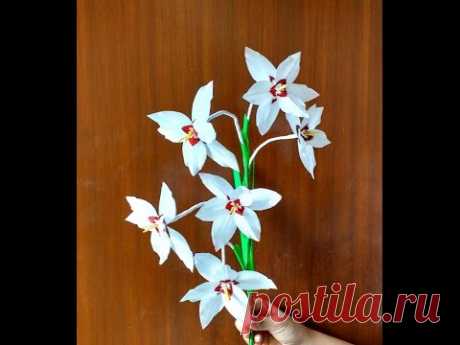 Paper Flower Peacock Orchid \ Gladiolus Acidenthera (flower # 148)