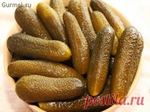 Огурцы солёные в банке (для хранения в квартире). Рецепт с фото. Пошаговые фотографии. GurmeL