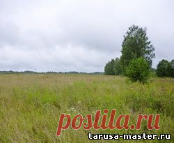 Недвижимость в г. Таруса, Тарусском районе. - д. Похвиснево, участок 8,25 га под снт * 1,95 млн. руб.