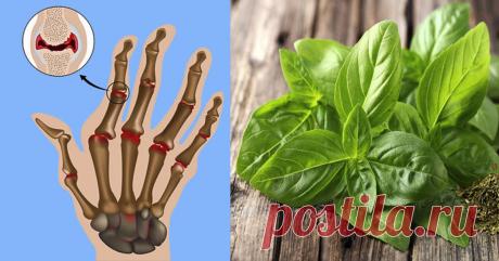 Преимущества базилика при ревматоидном артрите
Ревматоидный артрит — это заболевание, которое обычно поражает пожилых людей. В основном, он поражает суставы, вызывая сильную боль и скованность в них. Эта болезнь лечится медикаментами, операциями и изменениями в образе жизни и рационе питания. Базилик известен его преимущества при ревматоидном артрите. Но, всегда консультируясь с...
Читай дальше на сайте. Жми подробнее ➡