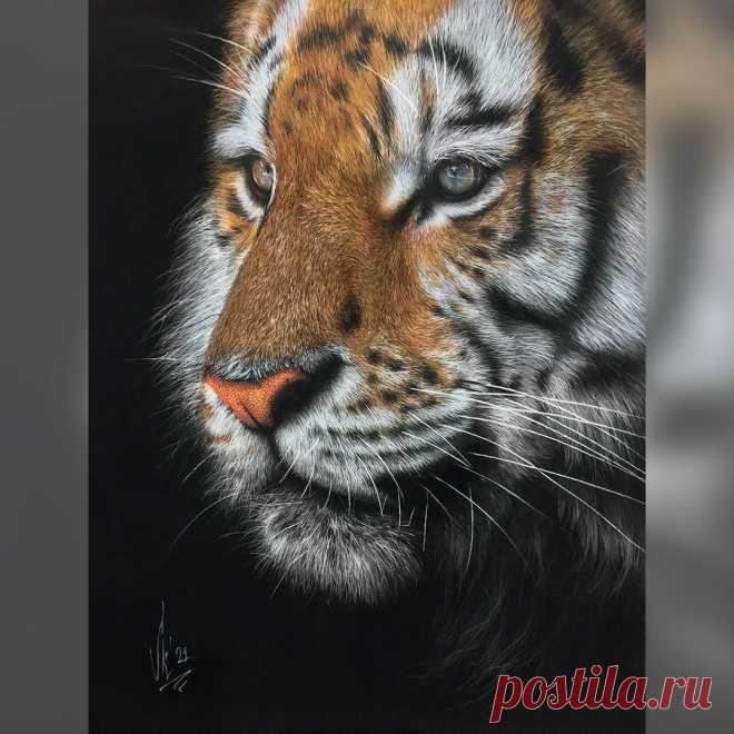 Тигр - Фрилансер Elena LKSTUDIOART lk_design - Портфолио - Работа #4242203