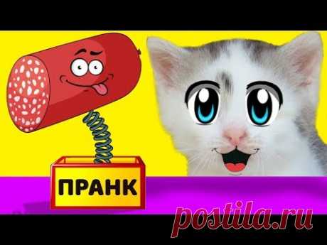 ЛЕТНИЕ ПРАНКИ НАД КОТАМИ! НОВЫЕ ПРИКОЛЫ для пары КОТ  и КОШЕЧКА! 3 смешных пранков над друзьями