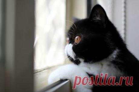 Главное, чтобы дома кто-то ждал – Фитнес для мозга