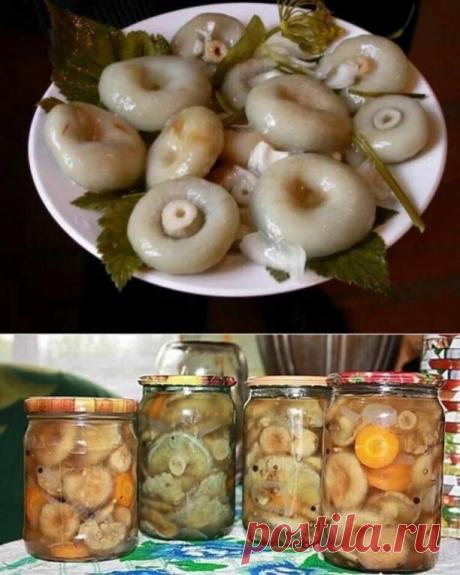 Маринуем белые грузди своими руками

Вымочить грибы 2-3 дня,очистить,отварить в подсоленной воде затем промыть и остудить.

Делаем маринад: на 1 литр воды 2 ст.ложки соли, 1 ст.ложку сахара.
Вскипятить маринад туда же бросить грибы и затем варить 10-15 минут.

На дно чистых стерилизованных банок положить листья вишни и черной смородины и 1-2 зубчика чеснока затем разлаживаем горячие грибы с маринадом.
Сверху 0,5 банок положить 1 ч. ложку уксуса (9%).
Закатать и укутать до ...