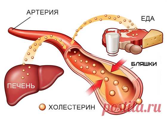 Естественные способы уменьшения уровня плохого холестерина в течение 4 дней - ХОЗЯЮШКА24 Вы должны это знать! Здесь мы узнаем о естественных способах снижения уровня холестерина. Холестерин можно определить как жирное или восковое вещество, присутствующее в крови, которое требуется для нормального...