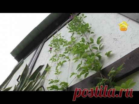 Хозблок за четыре дня и терраса на покрышках // FORUMHOUSE