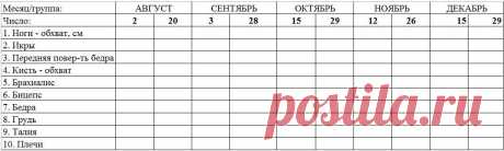 Дневник тренировок