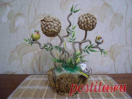 Композиция из фисташек