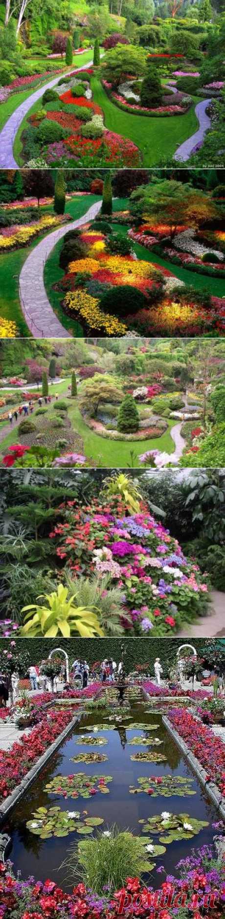 The Butchart Gardens