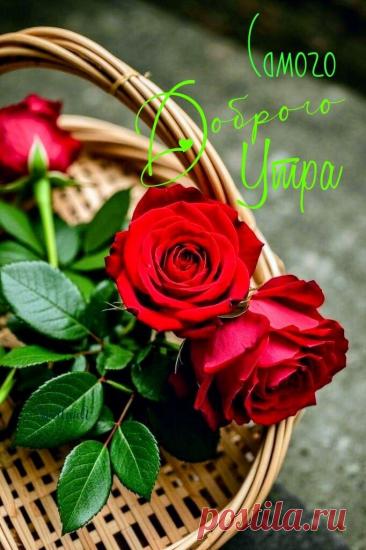 Доброе утро