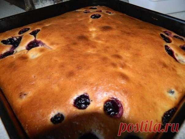 Быстрый пирог-сметанник — фантастически вкусно! | Самые вкусные кулинарные рецепты