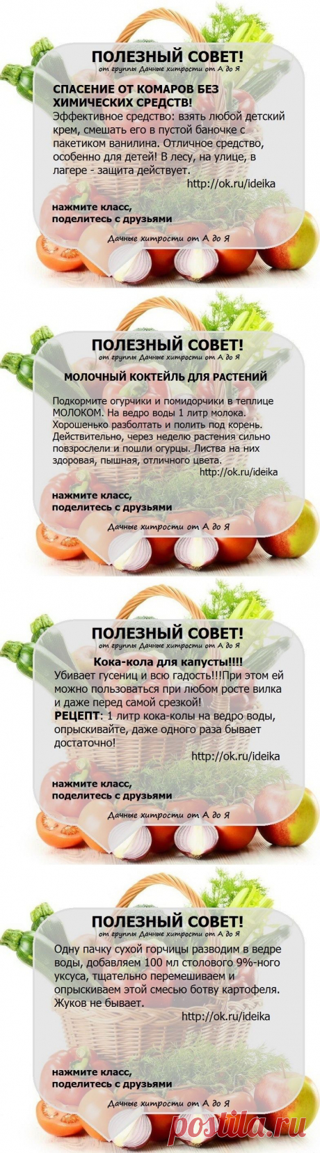 (1) Одноклассники