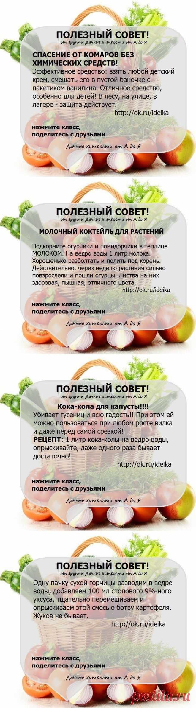(1) Одноклассники
