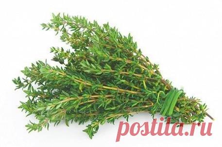 Невероятно мощная трава! Уничтожает стрептококк, герпес, кандиду, вирус гриппа и лечит более 50 заболеваний! » ЧапЧап