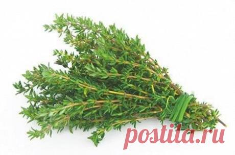 Невероятно мощная трава! Уничтожает стрептококк, герпес, кандиду, вирус гриппа и лечит более 50 заболеваний! » ЧапЧап