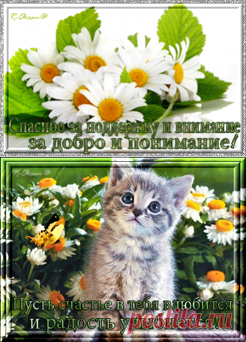♥Открыточки - пожелания gif♥