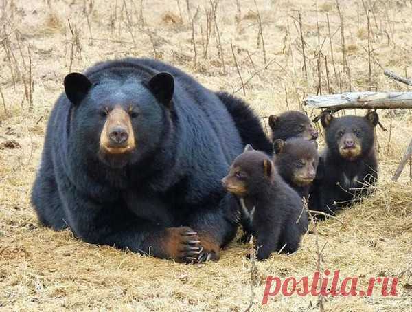 @@ @@@ - Санкт-Петербург, Россия на Мой Мир@Mail.ru