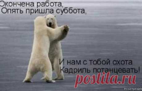 Фото – Google+