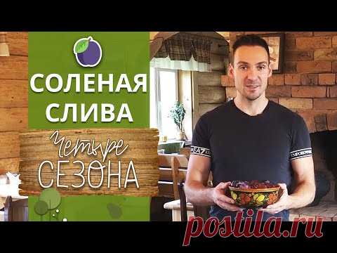 Очень вкусный рецепт солёных слив ! | Как засолить сливу к мясу?