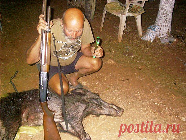 Турция Бодрум Ичмилер. Места для палаток на участке нашего друга Хасана. 
Помог ему избавится от вредителя. отравлявшего воду для коров.