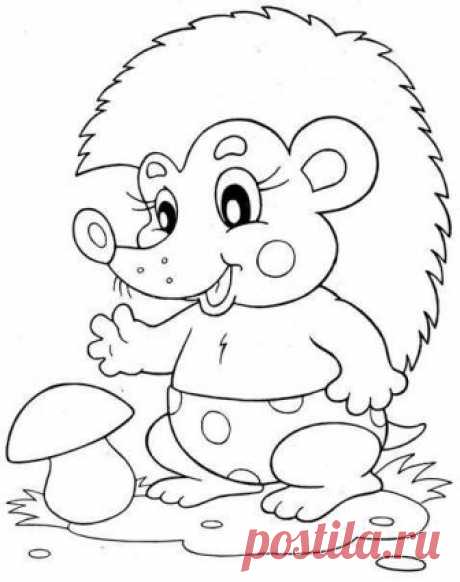 (560) Pinterest
