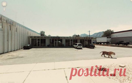 15 Hilarious Google Street View Pictures | QuotesPaper | Page 6