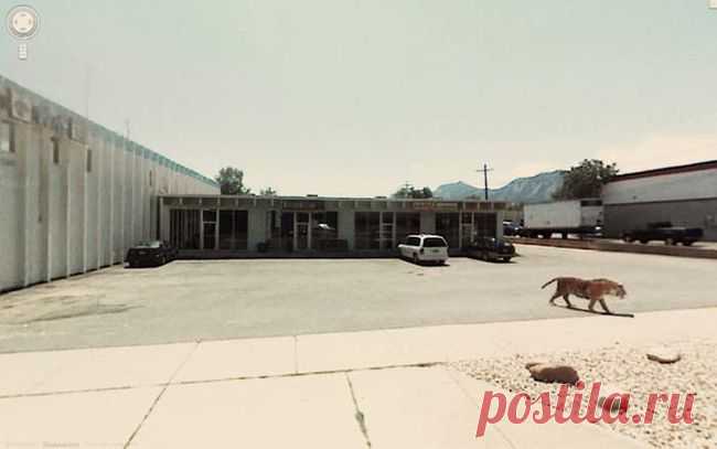 15 Hilarious Google Street View Pictures | QuotesPaper | Page 6