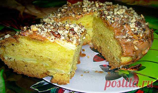 Шарлотка с яблоками и орехами — Сад Заготовка