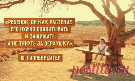 Почему ребенка нужно не воспитывать, а растить?