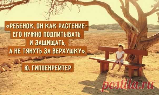 Почему ребенка нужно не воспитывать, а растить?