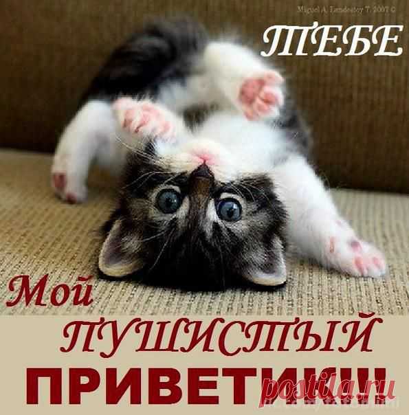 Тебе.