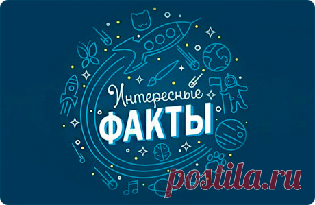 Забавные и интересные факты