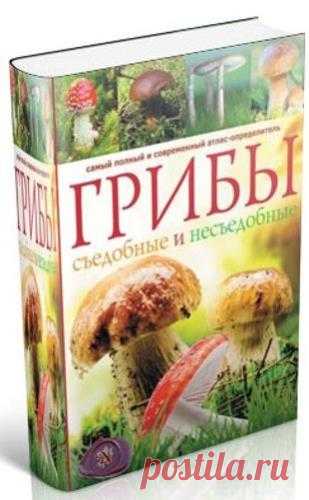 А.Б. Поленов - Грибы. Съедобные и несъедобные. Самый полный и современный атлас-определитель (2013)