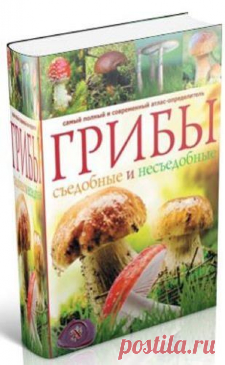 А.Б. Поленов - Грибы. Съедобные и несъедобные. Самый полный и современный атлас-определитель (2013)