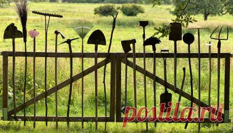 Essential spring cleaning for your garden – Virily