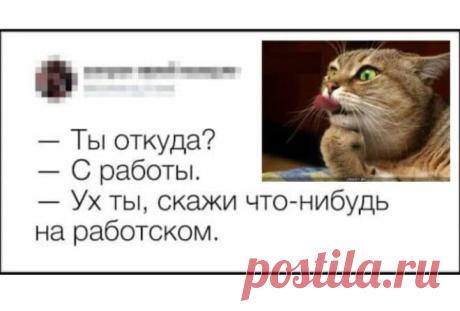 20 САМЫХ СМЕШНЫХ ПРИМЕРОВ НЕСТАНДАРТНОГО ЮМОРА!
Некоторые люди обладают очень нестандартным чувством юмора. Их шутки настолько странные и абсурдные, что вызывают недоумение, которое перетекает в громкий смех! 🙂 Такой юмор полон иронии по отношению к себе и окружающему миру. В этом и состоит его изюминка! Вот 20 ярких примеров утончённого, но очень необычного юмора от пользователей Твиттера! 🙂 1. Все женщины […]
Читай дальше на сайте. Жми подробнее ➡