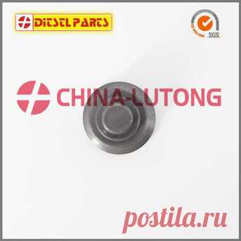 expatriates.com - Modify : Diesel Engine Delivery Valve 2418552051 Hot Sale