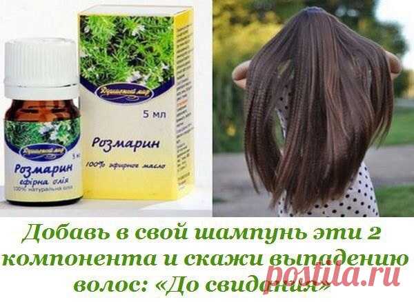 Добавь в свой шампунь эти 2 компонента и скажи выпадению волос: «До свидания». 

Проблема выпадения волос — бич не только старшего поколения, но и молодежи. Зачастую происходит это из-за неправильного питания, нарушения гормонального баланса, сильных эмоциональных потрясений и неправильного ухода за волосами. 

Причины также могут крыться в плохом качестве питьевой воды и разнообразных заболеваниях волос. Поэтому, прежде чем заняться самолечением, следует обратиться к врач...