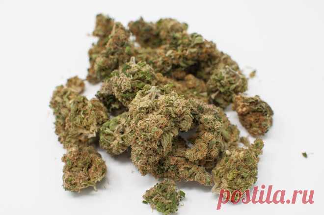 Canna Club Co brings fast and reliable Vancouver Weed Delivery straight to your door without hassle. Whether you're relaxing at home or running low on time, our online store makes cannabis shopping smooth and simple. With a wide range of quality strains and edibles, you can enjoy the best from the comfort of your space. No lines, no waiting—Vancouver Weed Delivery from Canna Club Co helps you order what you need with ease and discretion.